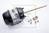 PE Automotive 076.433-00A Spring-loaded Cylinder